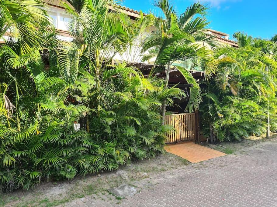 Vilage Novo Em Do 4 Apartamento *